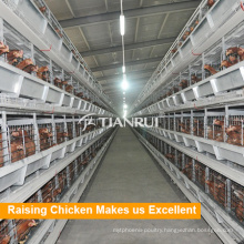 H type 4 Tiers Layer Chicken Battery Cage